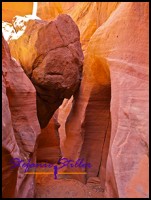 807 Spooky 08 807 Spooky 08