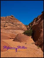 807 Spooky Eingang 02 807 Spooky Eingang 02