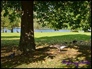 Festmahl 01 Festmahl 01