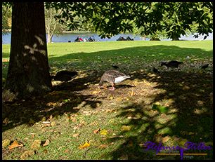 Festmahl 02 Festmahl 02