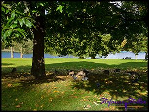 Festmahl 03 Festmahl 03