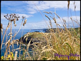 Tintagle 06 Tintagle 06