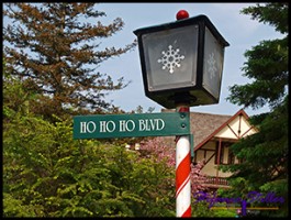 528 Hoho Blvd 528 Hoho Blvd