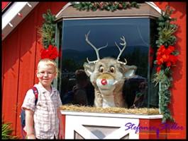 528 Rudolph 528 Rudolph