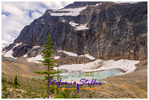 220816 cavellpond 220816 cavellpond