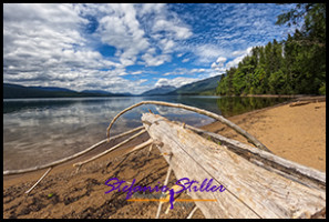 220814 barview 220814 barview