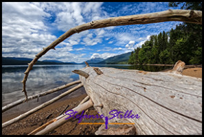 220814 barview 220814 barview