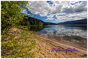 220814 barview 220814 barview