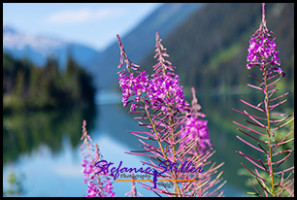 220812  duffeylake 220812  duffeylake