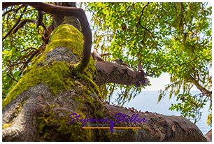 220809 eastsooke aylardfarm 220809 eastsooke aylardfarm