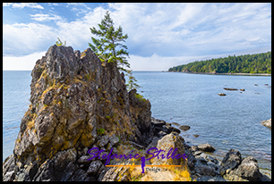 220809 eastsooke aylardfarm 220809 eastsooke aylardfarm