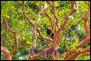 220809 rabe 220809 rabe