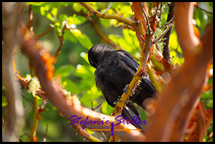 220809 rabe 220809 rabe