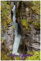 220816 malignecanyon 220816 malignecanyon