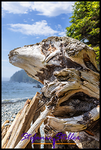 220809 mysticbeach 220809 mysticbeach