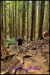 220809 mysticbeach 220809 mysticbeach