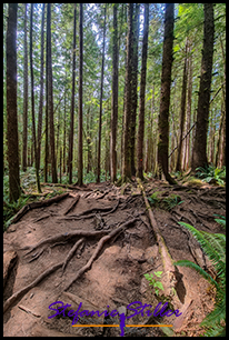 220809 mysticbeach 220809 mysticbeach