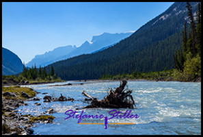 220818 icefieldparkway 220818 icefieldparkway