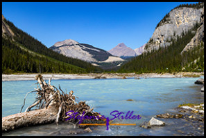 220818 icefieldparkway 220818 icefieldparkway