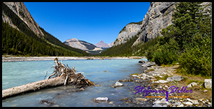 220818 icefieldparkway 220818 icefieldparkway
