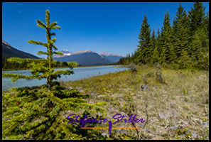 220818 icefieldparkway 220818 icefieldparkway