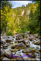 220810 shannonfalls 334 220810 shannonfalls 334