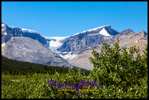 220817 athabascaglacier 220817 athabascaglacier