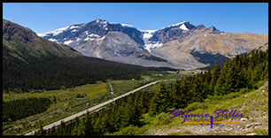 220817 wilcoxpasstrail 220817 wilcoxpasstrail