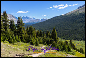 220817 wilcoxpasstrail 220817 wilcoxpasstrail