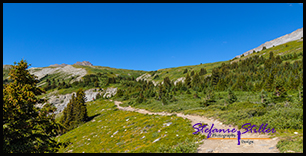 220817 wilcoxpasstrail 220817 wilcoxpasstrail