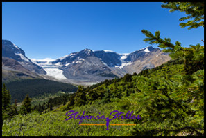 220817 wilcoxpasstrail 220817 wilcoxpasstrail