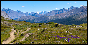 220817 wilcoxpasstrail 220817 wilcoxpasstrail