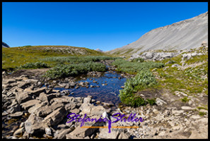 220817 wilcoxpasstrail 220817 wilcoxpasstrail