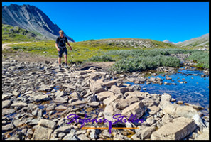 220817 wilcoxpasstrail 220817 wilcoxpasstrail