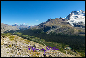 220817 wilcoxridge 220817 wilcoxridge